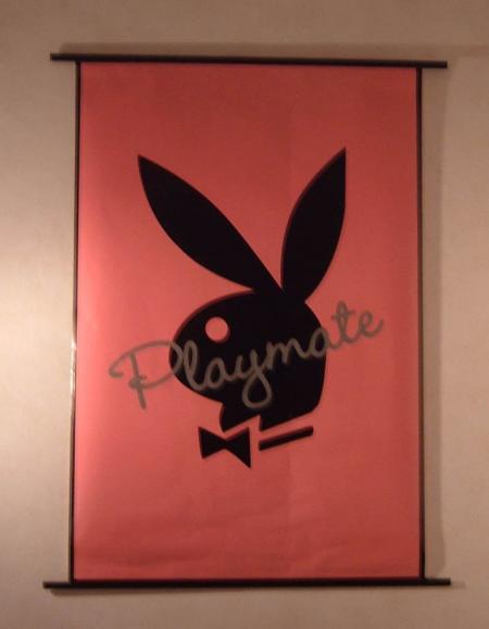 Playmate!!